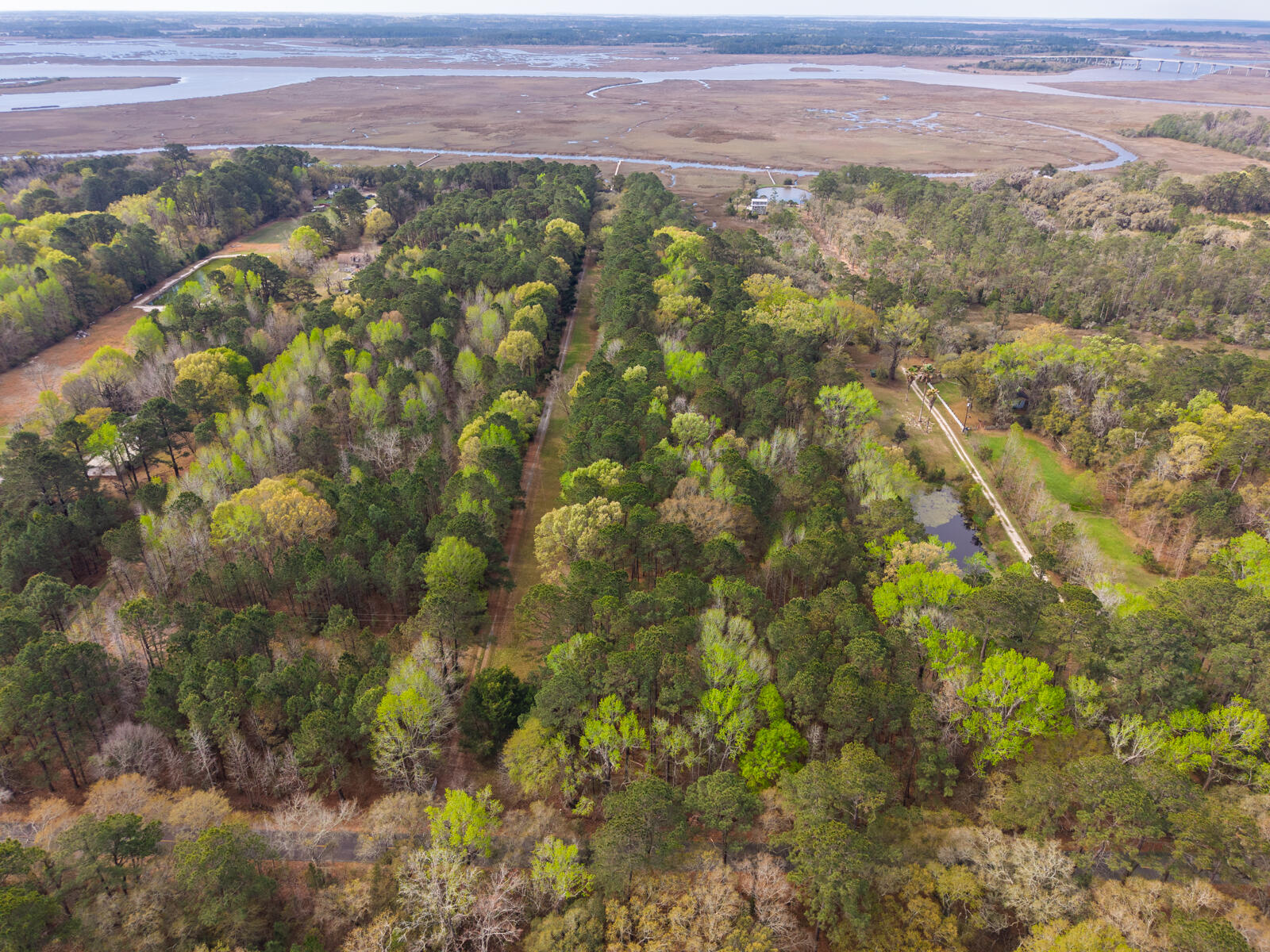 7717 White Point Road Hollywood, SC 29449 - Photo 91 of 99 untitled-18