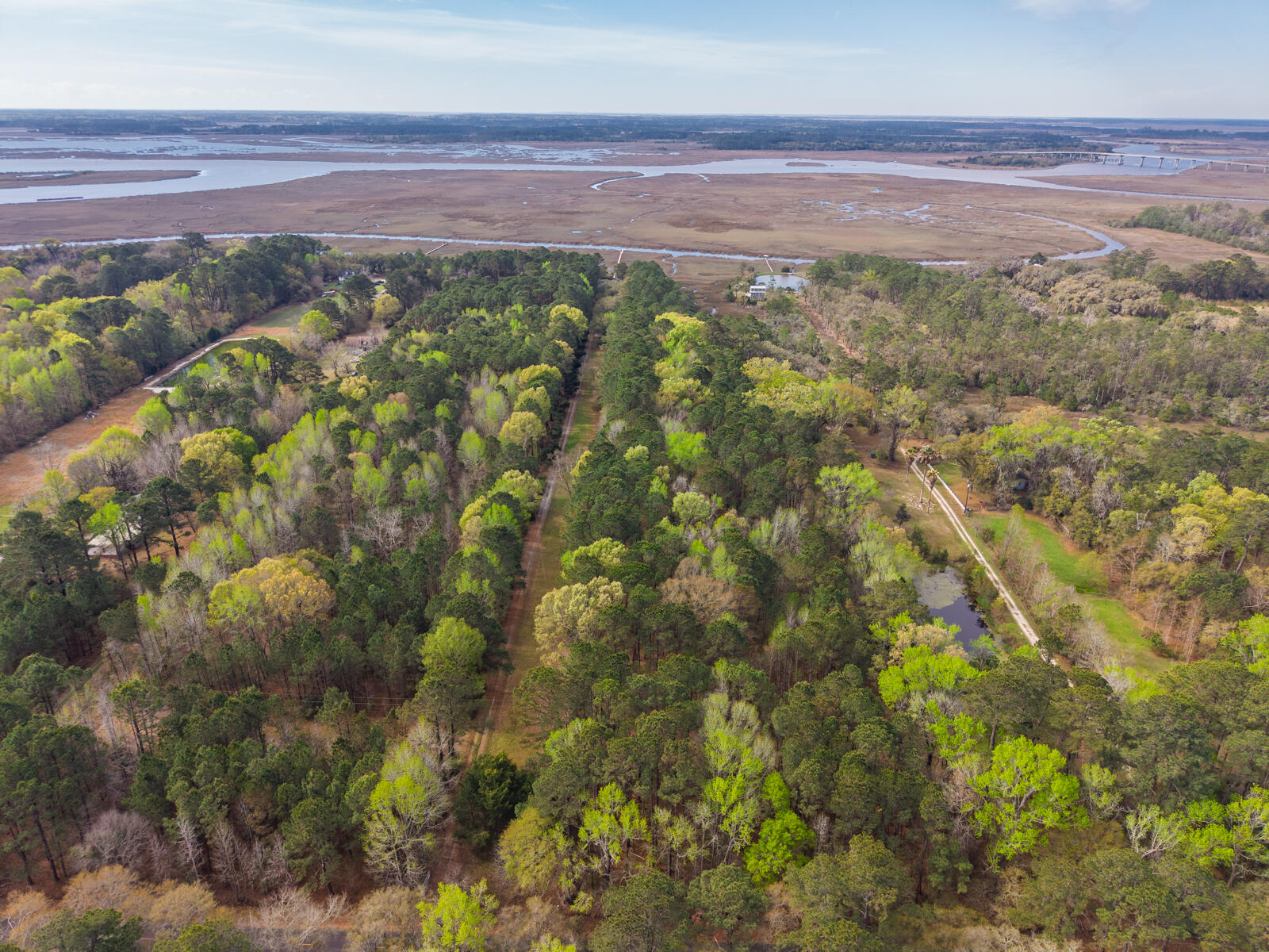 7717 White Point Road Hollywood, SC 29449 - Photo 92 of 99 untitled-19