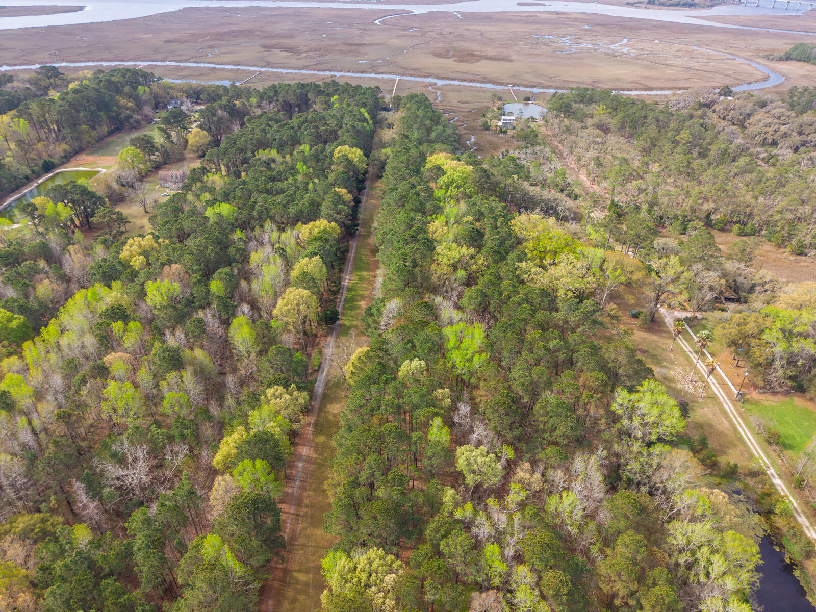 7717 White Point Road Hollywood, SC 29449 - Photo 94 of 99 untitled-21