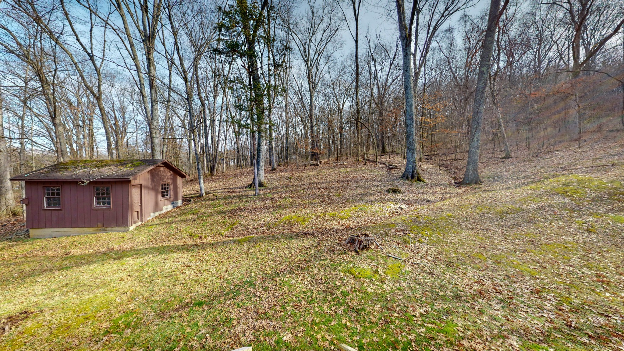 2124 Hillsboro Road Franklin, TN 37069 - Photo 41 of 44 a view of a house with a yard and tree s