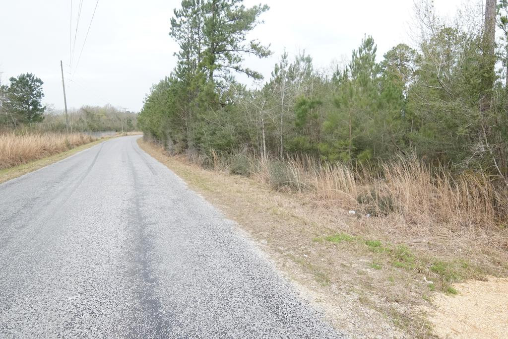 375 Hammond Road Oak Vale, MS 39656 - Photo 3 of 21 Photo 3