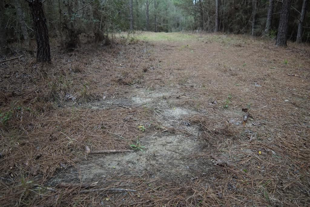 375 Hammond Road Oak Vale, MS 39656 - Photo 8 of 21 Photo 9