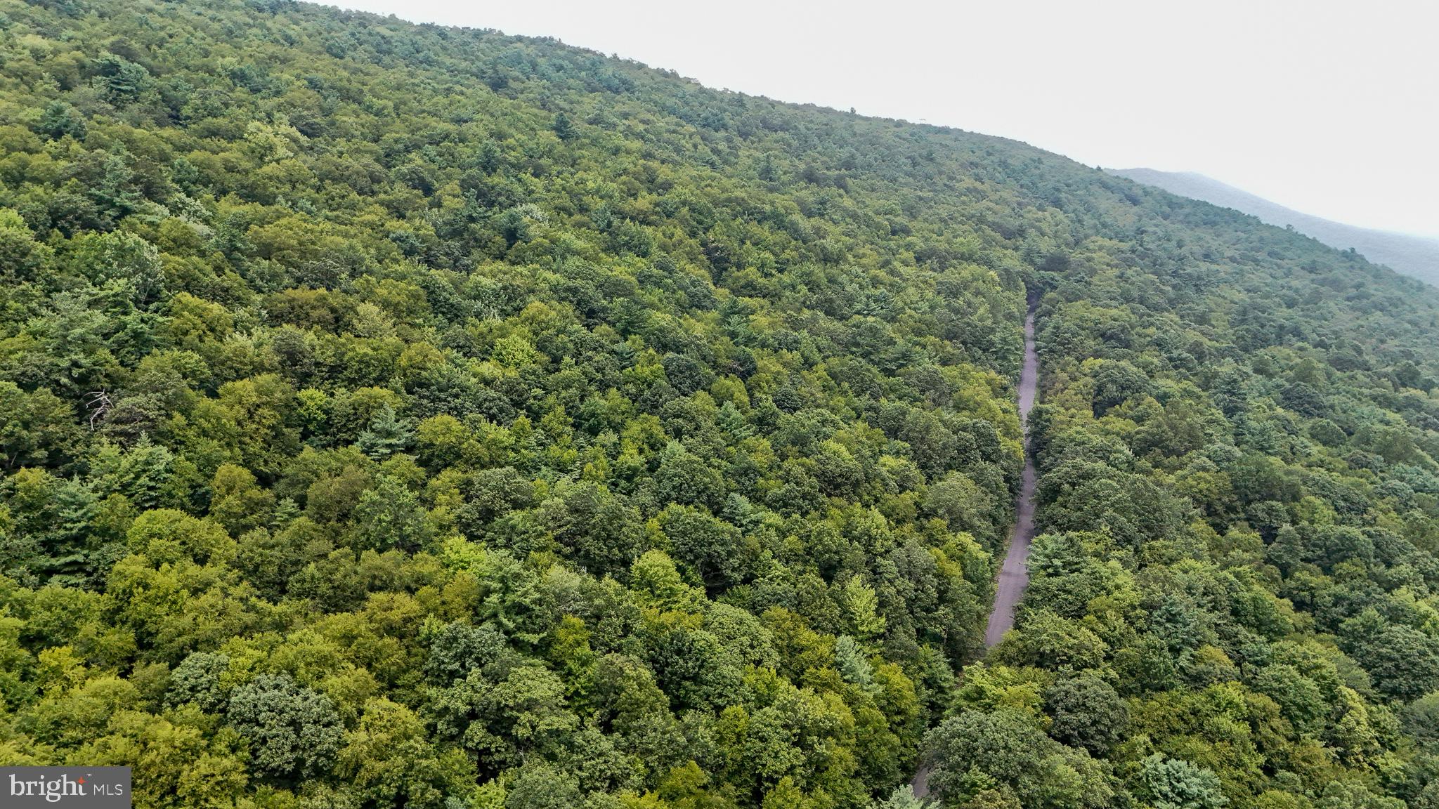 Mountain Road James Creek, PA 16657 - Photo 5 of 27 Lush green hills embrace winding trails.