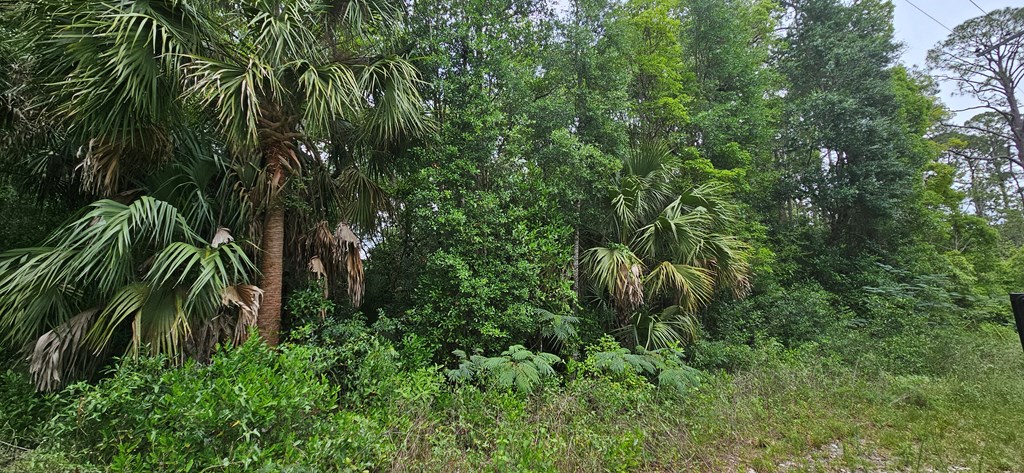 805 3rd Street West Carrabelle, FL 32322 - Photo 2 of 7
