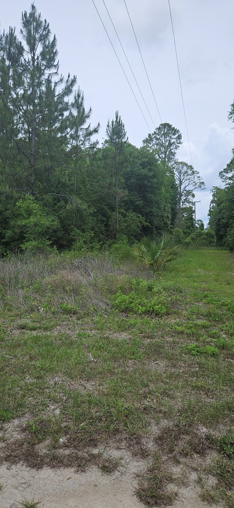 805 3rd Street West Carrabelle, FL 32322 - Photo 7 of 7