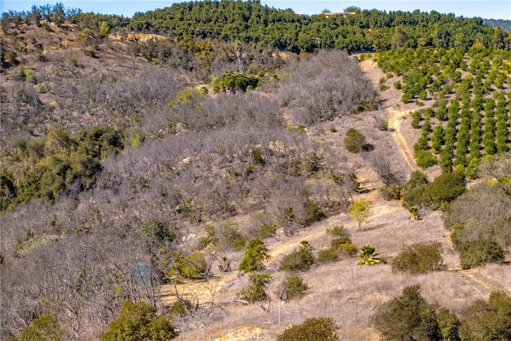 34 Los Gatos Road Temecula, CA 92590 - Photo 6 of 11 a view of a yard covered with trees