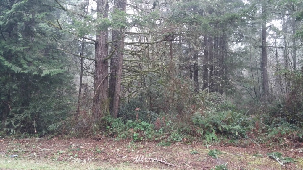 7403 Marvin Road Northeast Olympia, WA 98516 - Photo 2 of 5 Gallery Image 2