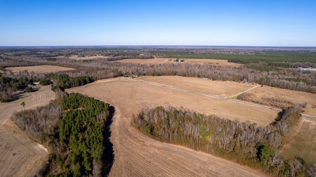 2400 Ike Brunson Road Alcolu, SC 29001 - Photo 16 of 19 Gallery Image 16