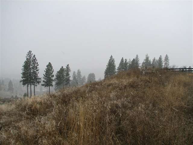 175-xx North Greenbluff Road Colbert, WA 99005 - Photo 1 of 9