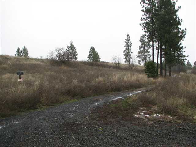 175-xx North Greenbluff Road Colbert, WA 99005 - Photo 2 of 9