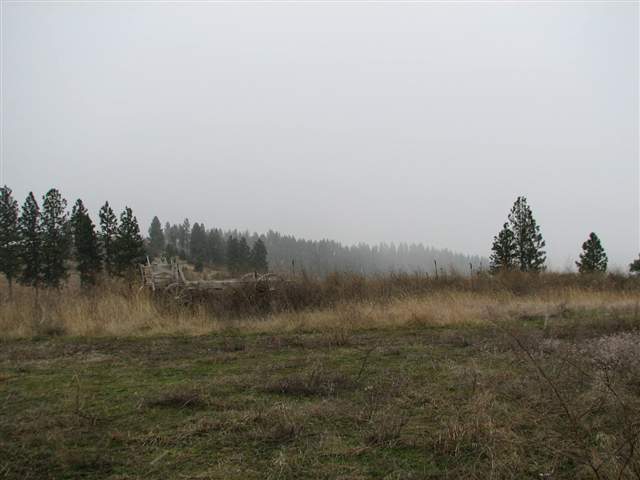 175-xx North Greenbluff Road Colbert, WA 99005 - Photo 3 of 9