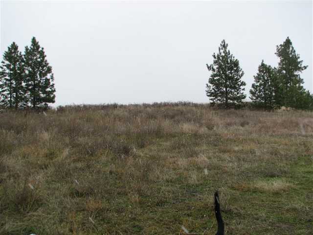 175-xx North Greenbluff Road Colbert, WA 99005 - Photo 4 of 9