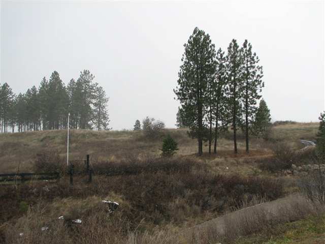 175-xx North Greenbluff Road Colbert, WA 99005 - Photo 5 of 9