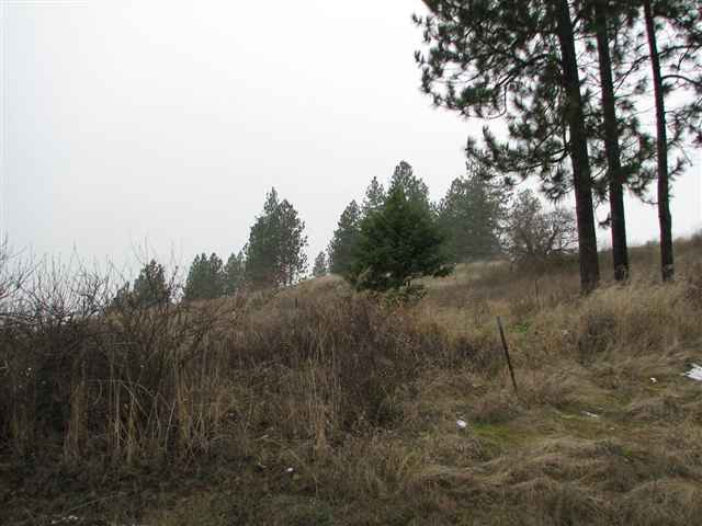175-xx North Greenbluff Road Colbert, WA 99005 - Photo 6 of 9
