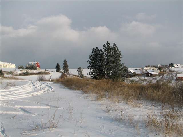 175-xx North Greenbluff Road Colbert, WA 99005 - Photo 7 of 9
