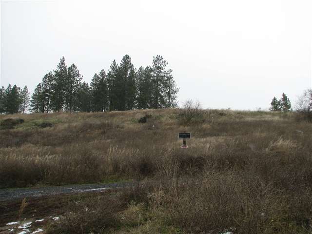 175-xx North Greenbluff Road Colbert, WA 99005 - Photo 8 of 9