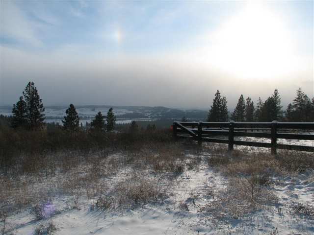 175-xx North Greenbluff Road Colbert, WA 99005 - Photo 9 of 9