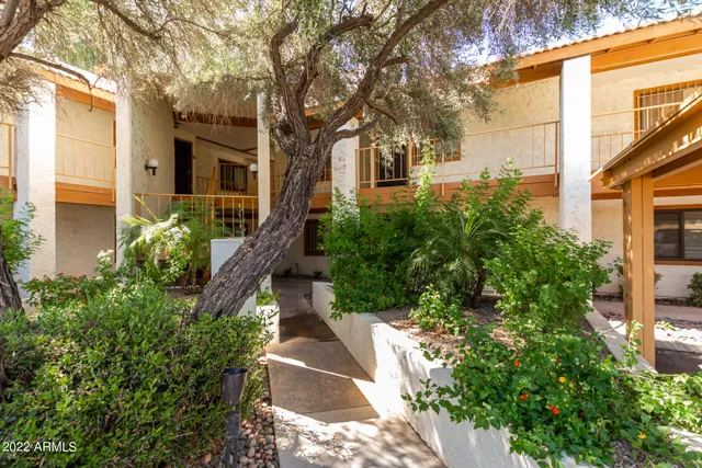 a view of a yard with plants and large trees