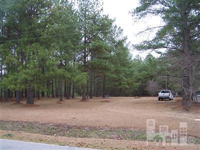 9999 Harmony Church Road Clinton, NC 28328 - Photo 3 of 5 Additional Photo