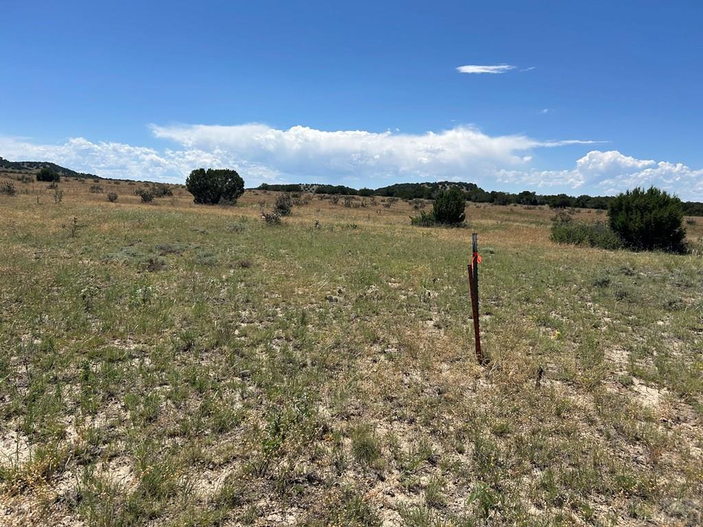 Lot 17 Long Horn Ranch Model, CO 81059 - Photo 4 of 13