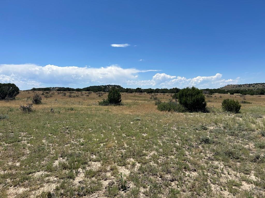 Lot 17 Long Horn Ranch Model, CO 81059 - Photo 5 of 13