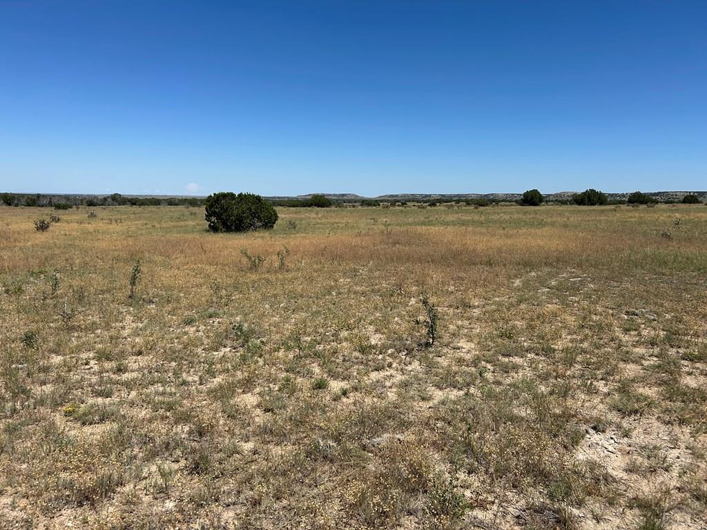 Lot 17 Long Horn Ranch Model, CO 81059 - Photo 8 of 13
