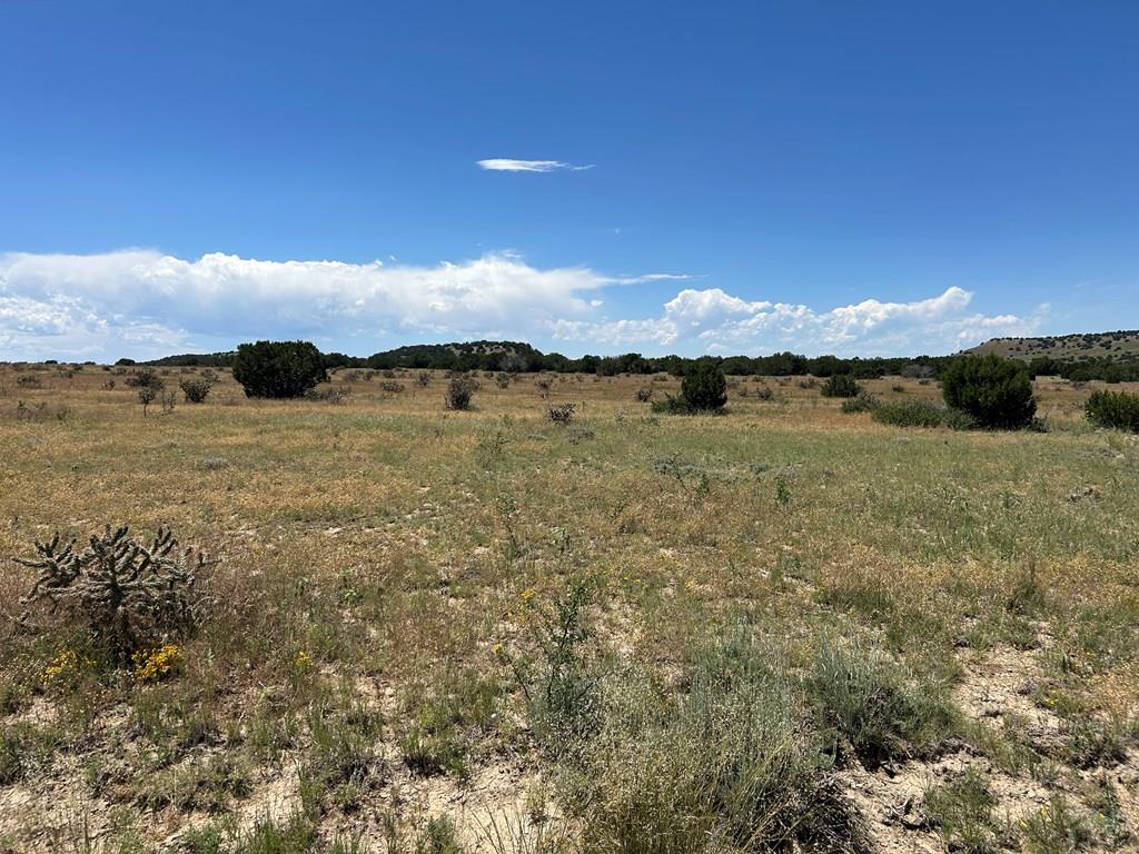 Lot 17 Long Horn Ranch Model, CO 81059 - Photo 10 of 13