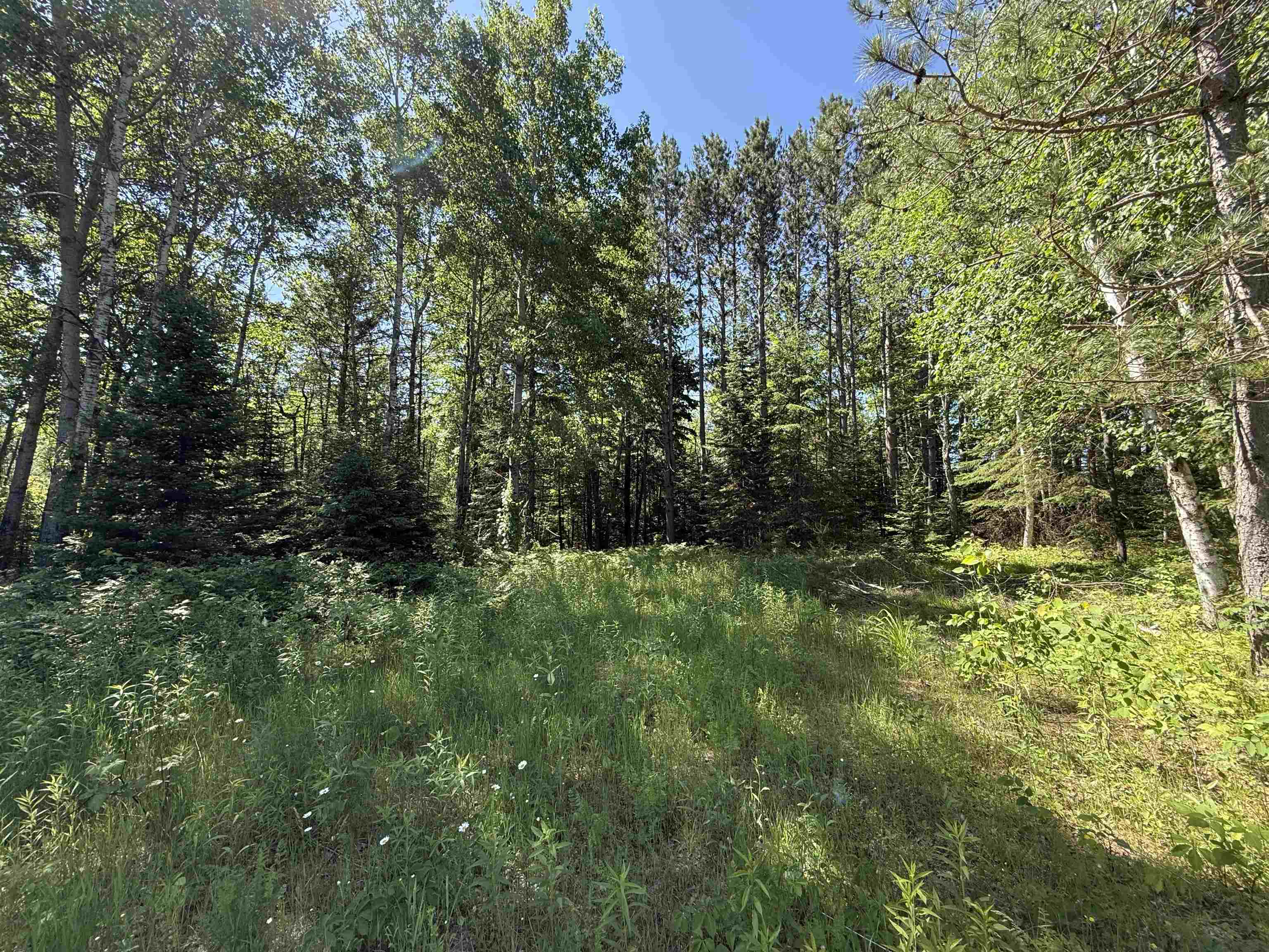 N6392 Blueberry Road Gresham, WI 54128 - Photo 28 of 28