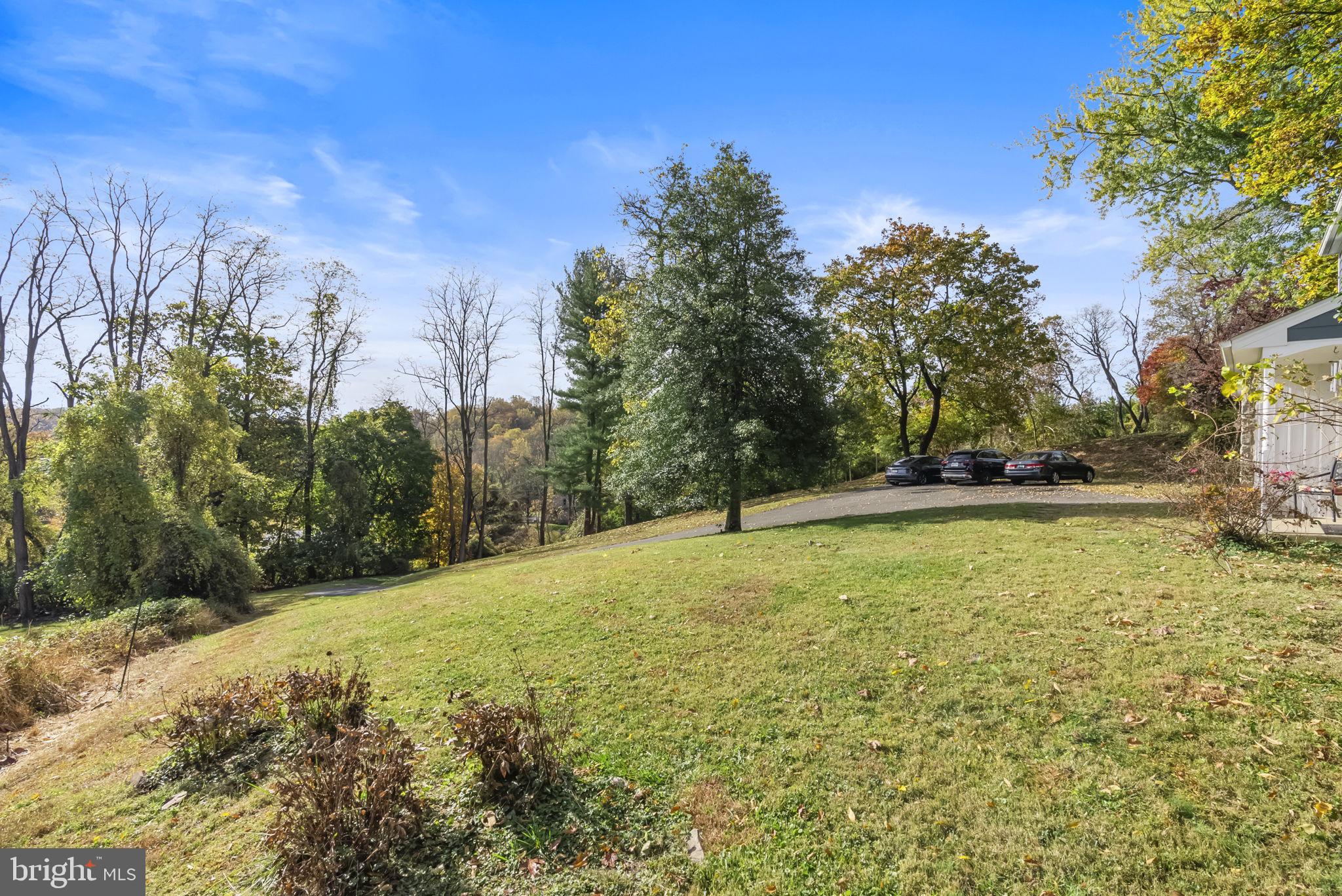 25 Hillendale Road Chadds Ford, PA 19317 - Photo 33 of 40 a view of yard with tree
