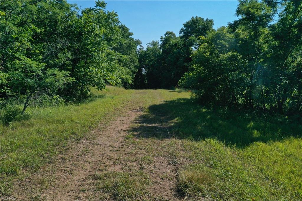 8610 West Triadelphia Road Malta, OH 43758 - Photo 6 of 42 GetMedia.ashx-37