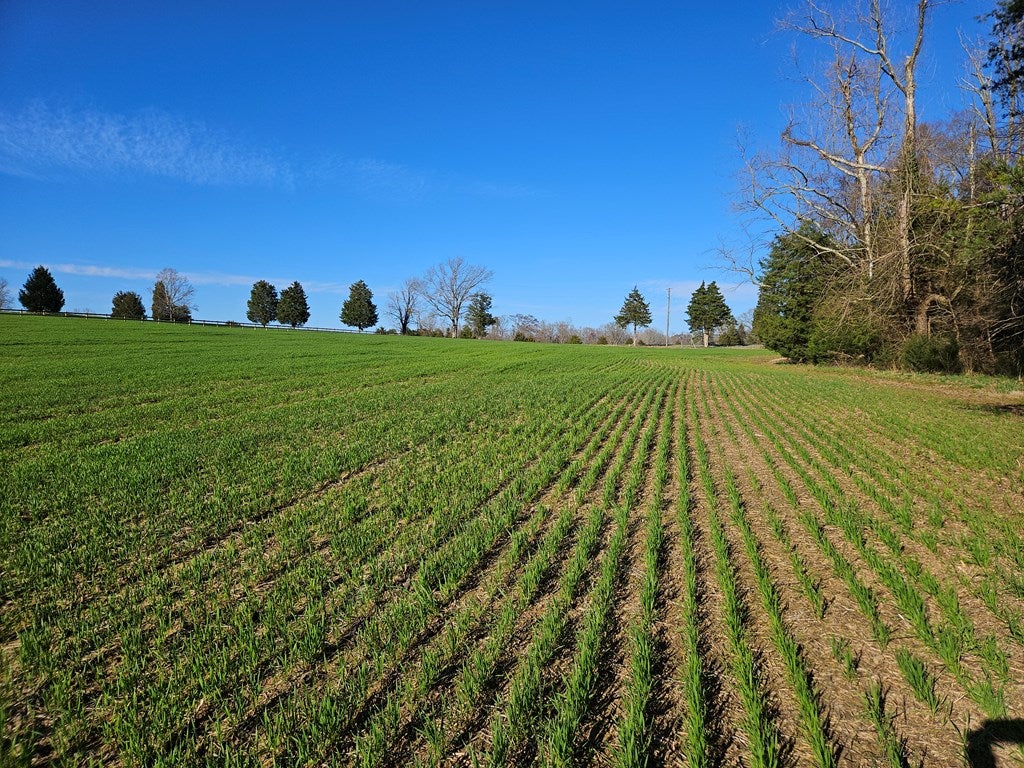 634 Salem Church Road Dillwyn, VA 23936 - Photo 20 of 36 Gallery Image 20