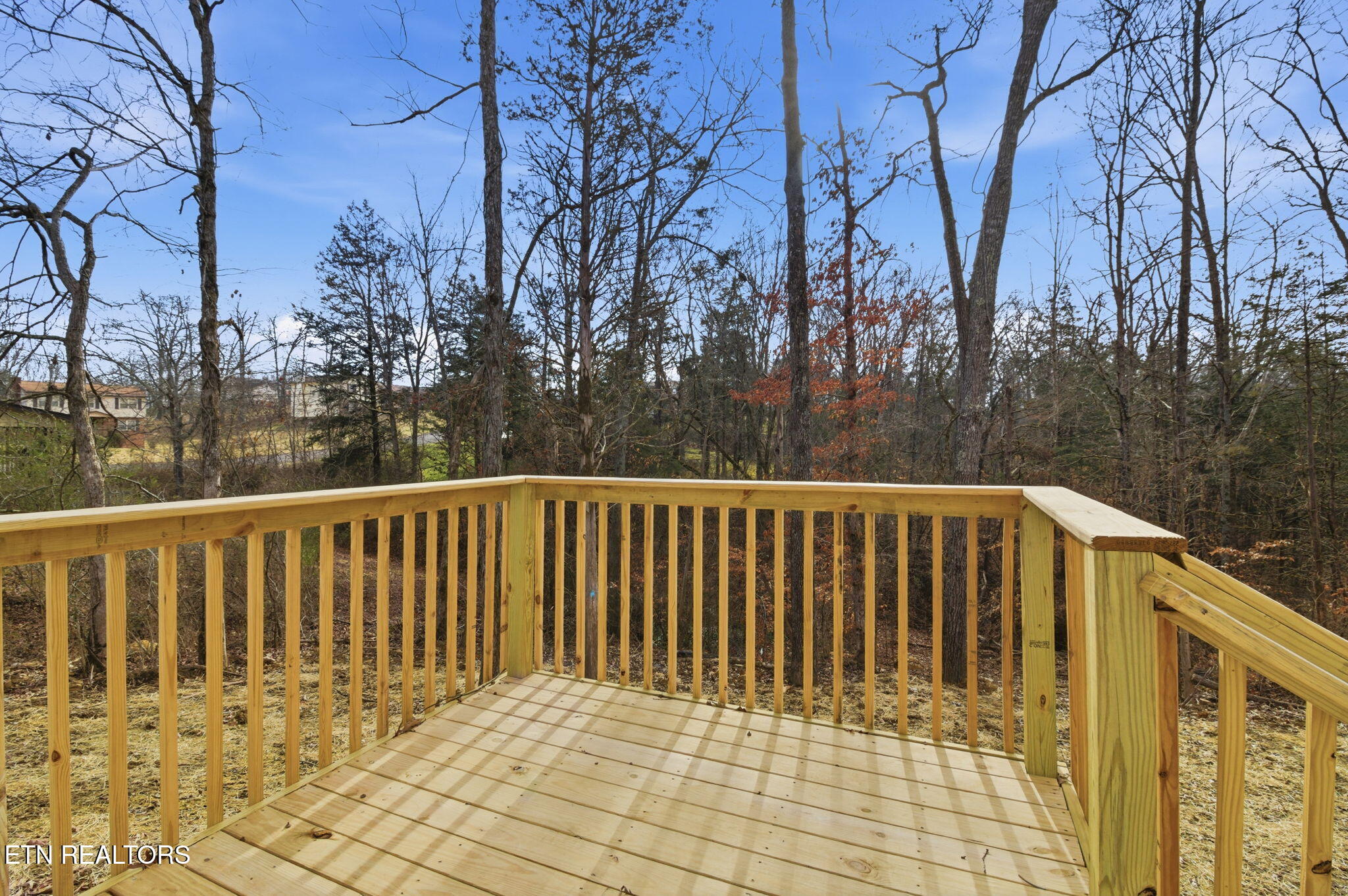 7314 Beechleaf Road Knoxville, TN 37924 - Photo 33 of 36 38-web-or-mls-DZ3A3937