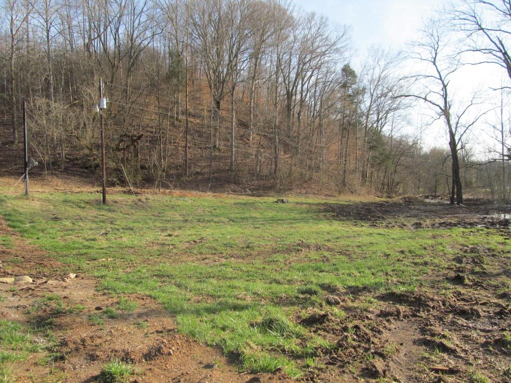 112 East Seaton Road Mount Pleasant, TN 38474 - Photo 11 of 18 Gallery Image 11