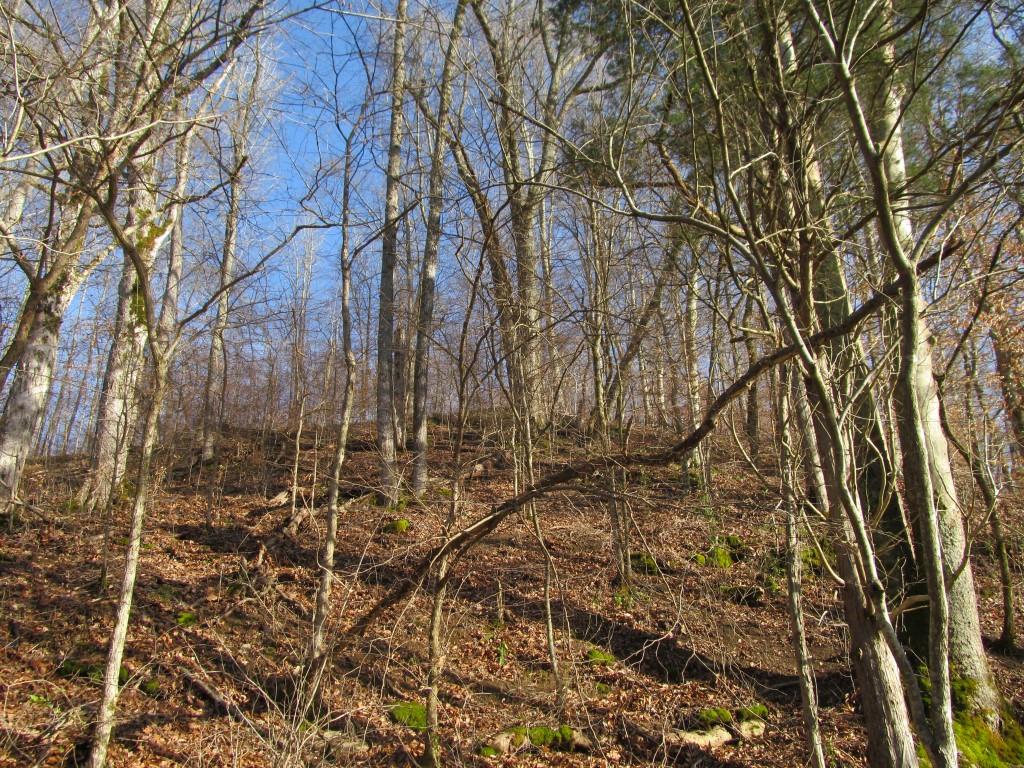 112 East Seaton Road Mount Pleasant, TN 38474 - Photo 12 of 18 Gallery Image 12