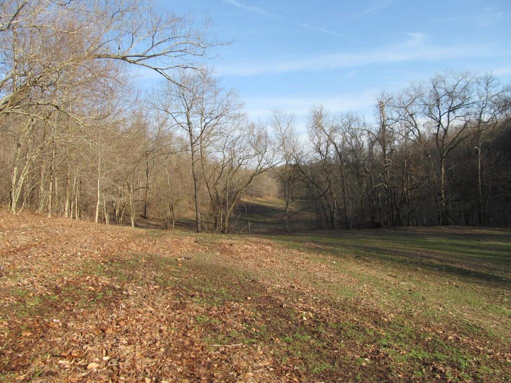112 East Seaton Road Mount Pleasant, TN 38474 - Photo 13 of 18 Gallery Image 13