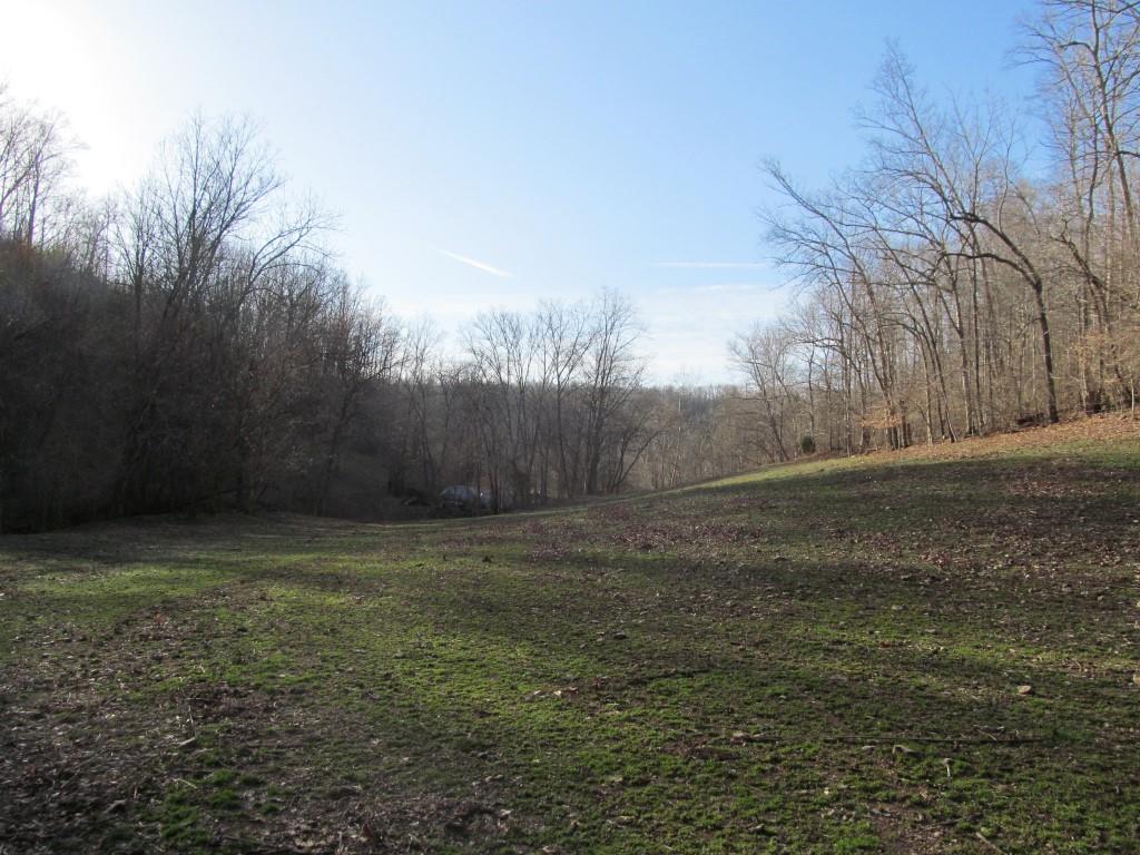 112 East Seaton Road Mount Pleasant, TN 38474 - Photo 15 of 18 Gallery Image 15
