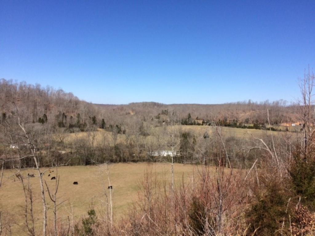 112 East Seaton Road Mount Pleasant, TN 38474 - Photo 16 of 18 Gallery Image 16
