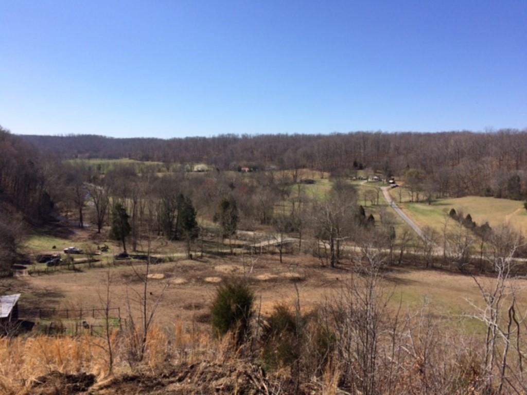 112 East Seaton Road Mount Pleasant, TN 38474 - Photo 17 of 18 Gallery Image 17
