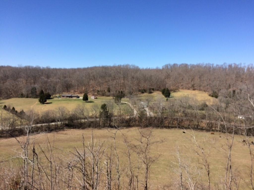 112 East Seaton Road Mount Pleasant, TN 38474 - Photo 18 of 18 Gallery Image 18