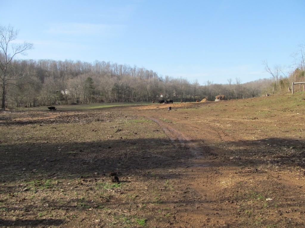112 East Seaton Road Mount Pleasant, TN 38474 - Photo 10 of 18 Gallery Image 10