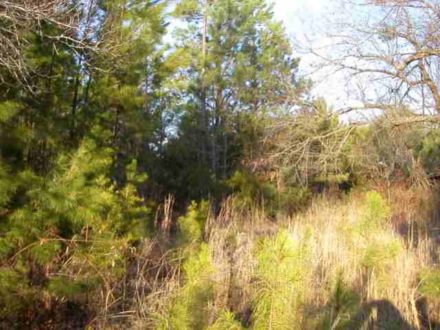 Lot 14 Mill Creek Road Iva, SC 29655 - Photo 1 of 4