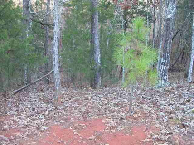 Lot 14 Mill Creek Road Iva, SC 29655 - Photo 2 of 4
