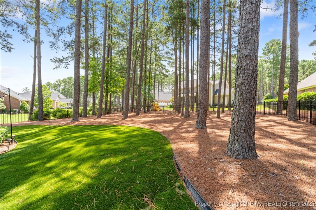 256 Barons Run West Spring Lake, NC 28390 - Photo 7 of 44 a view of yard with a tree