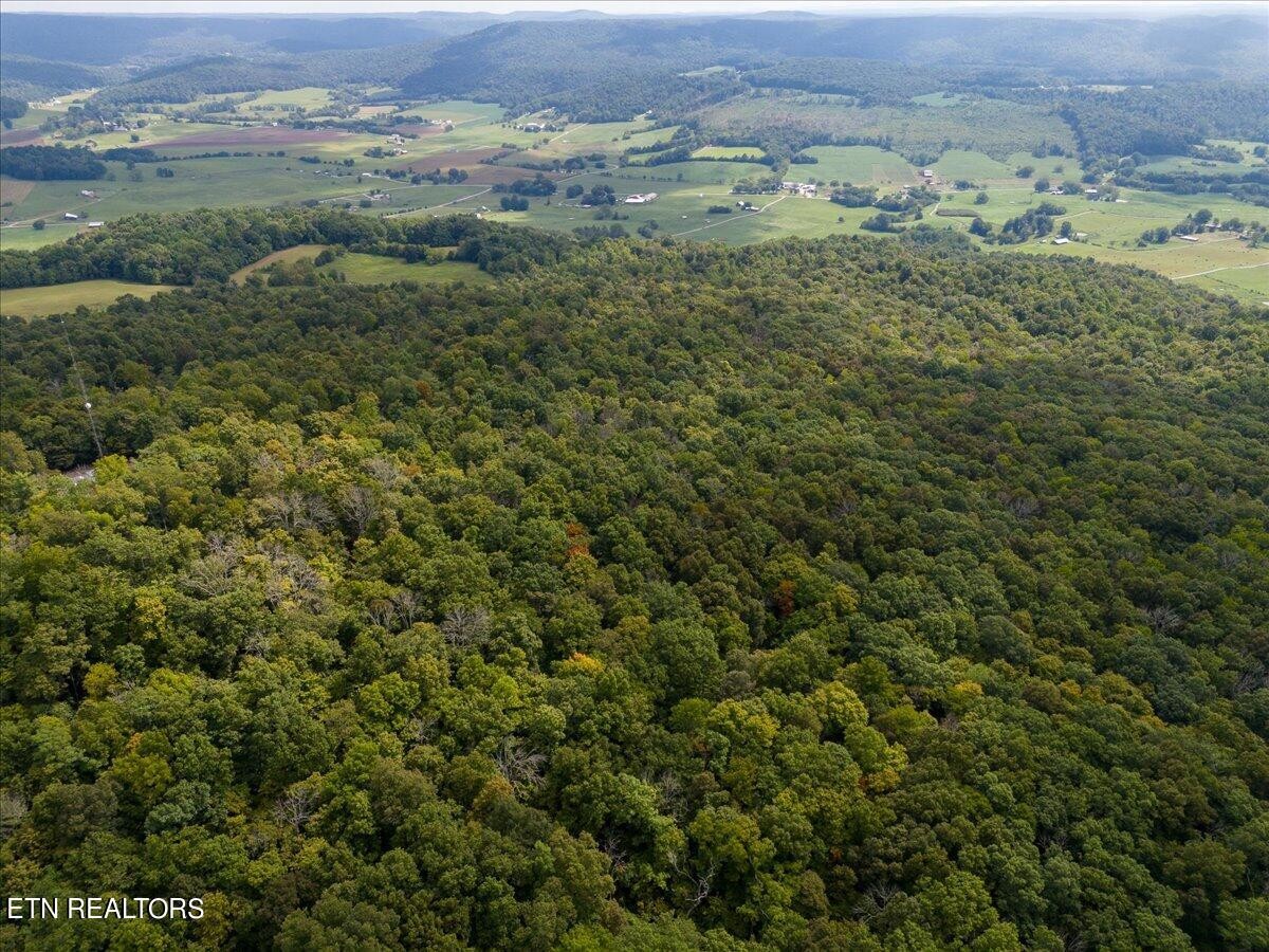0 Fire Tower 23.2 Ac Road Sparta, TN 38583 - Photo 14 of 18 Gallery Image 14