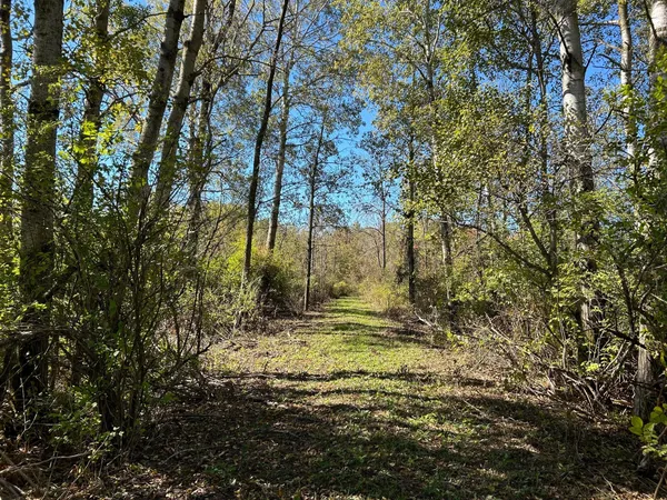 $145,000 | V/l 30th Avenue, Remus, MI 49340