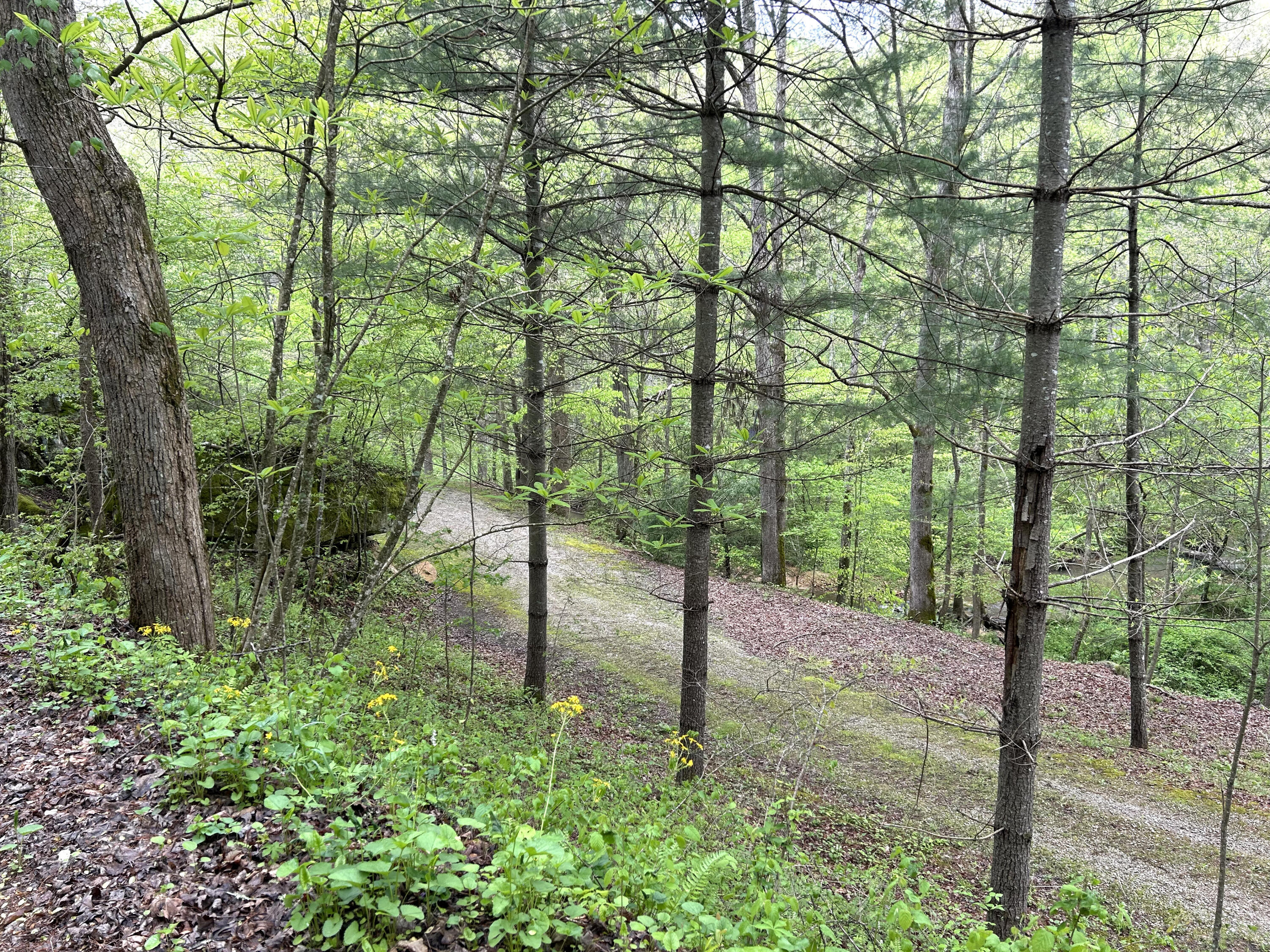 1180 Raccoon Creek Road Sandgap, KY 40481 - Photo 47 of 60 IMG_2554