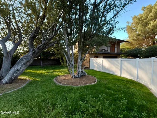 a view of a yard with plants and trees