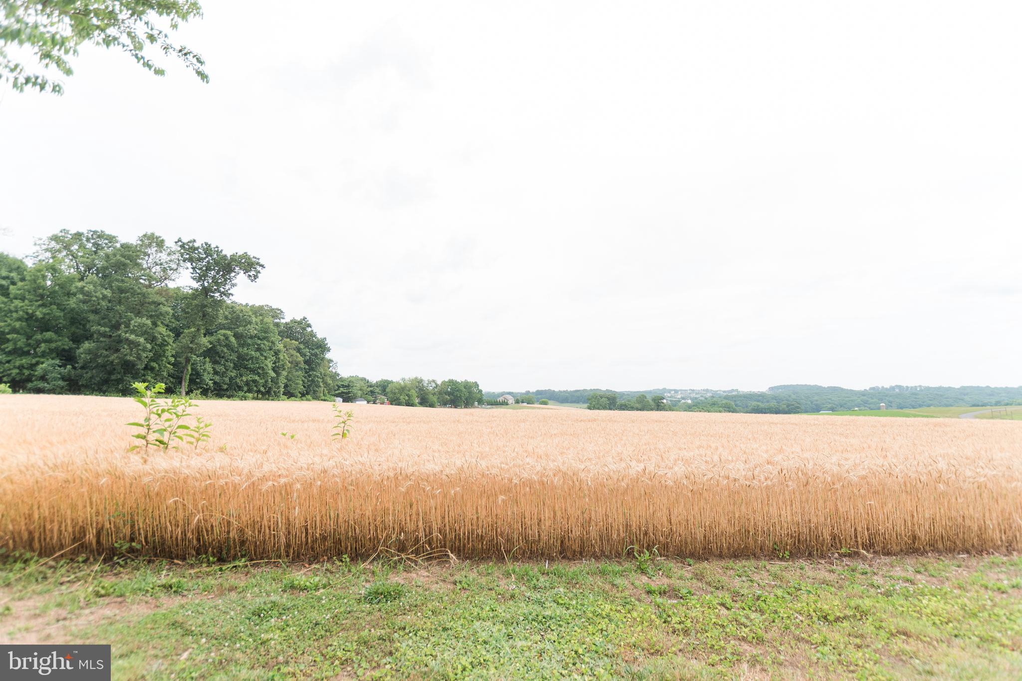 612 Hook Road Westminster, MD 21157 - Photo 39 of 55 Gallery Image 39