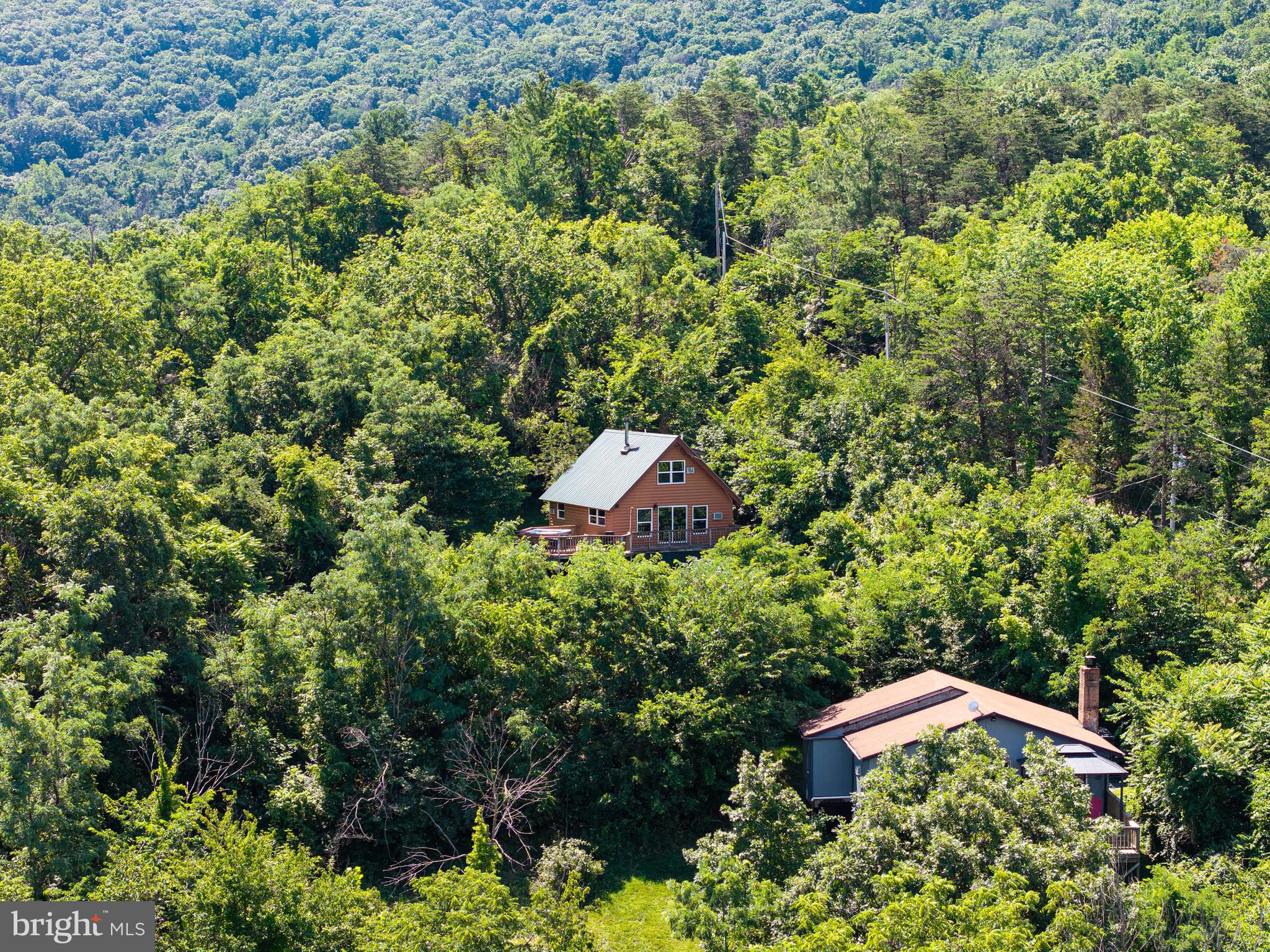 707 Overlook Drive Rileyville, VA 22650 - Photo 73 of 94