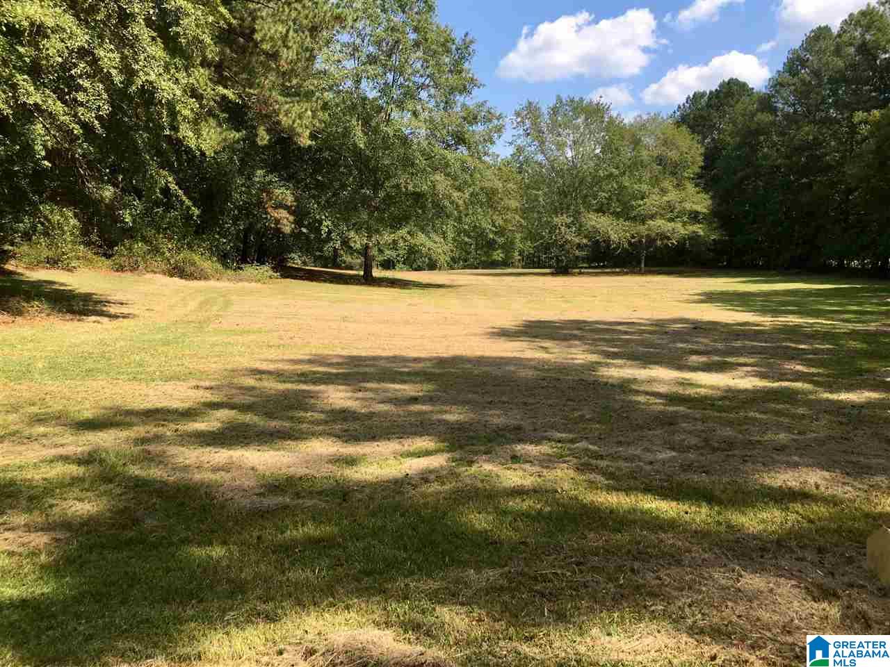 1458 Highway 74 Chelsea, AL 35043 - Photo 3 of 24